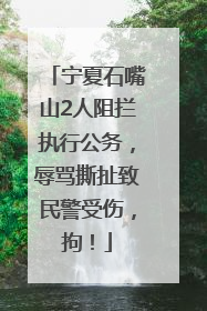 宁夏石嘴山2人阻拦执行公务，辱骂撕扯致民警受伤，拘！