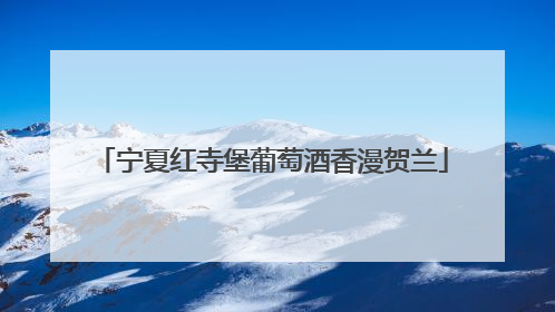 宁夏红寺堡葡萄酒香漫贺兰