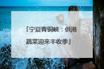 宁夏青铜峡：供港蔬菜迎来丰收季