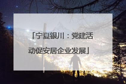 宁夏银川：党建活动促安居企业发展