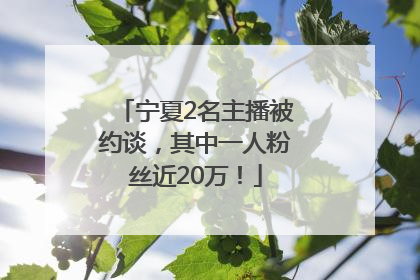 宁夏2名主播被约谈，其中一人粉丝近20万！