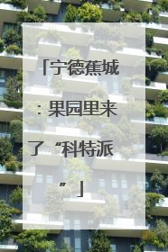 宁德蕉城：果园里来了“科特派”