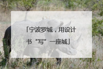 宁波罗城，用设计书“写”一座城
