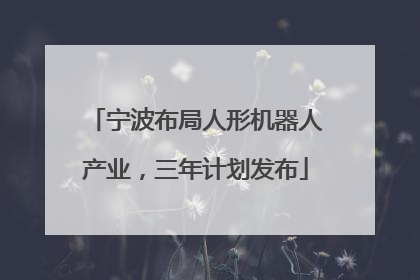 宁波布局人形机器人产业，三年计划发布