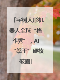 宇树人形机器人全球“格斗秀”，AI“拳王”硬核破圈