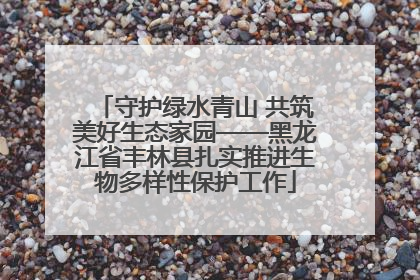 守护绿水青山 共筑美好生态家园——黑龙江省丰林县扎实推进生物多样性保护工作