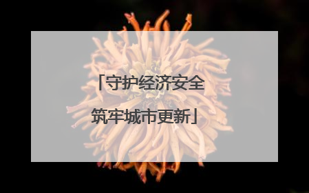 守护经济安全 筑牢城市更新