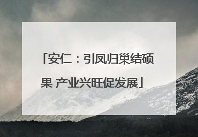 安仁：引凤归巢结硕果 产业兴旺促发展