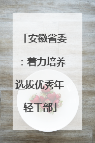 安徽省委：着力培养选拔优秀年轻干部