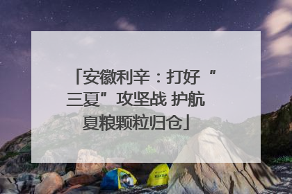 安徽利辛：打好“三夏”攻坚战 护航夏粮颗粒归仓
