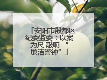 安阳市殷都区纪委监委：以案为尺 敲响 “廉洁警钟”