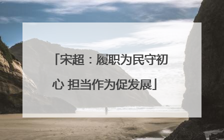 宋超：履职为民守初心 担当作为促发展