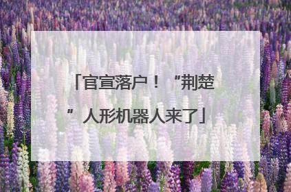 官宣落户！“荆楚”人形机器人来了
