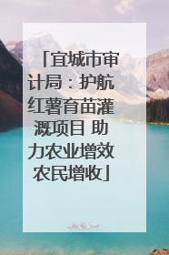 宜城市审计局：护航红薯育苗灌溉项目 助力农业增效农民增收