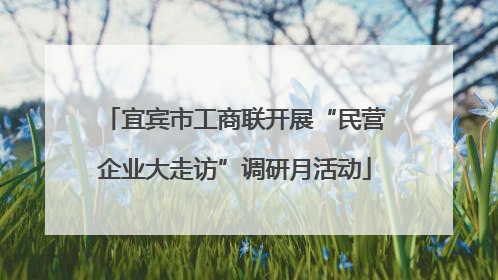 宜宾市工商联开展“民营企业大走访”调研月活动