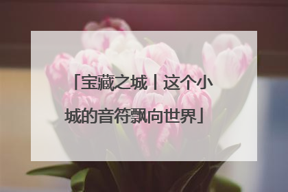 宝藏之城丨这个小城的音符飘向世界