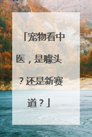 宠物看中医，是噱头？还是新赛道？