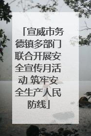 宣威市务德镇多部门联合开展安全宣传月活动 筑牢安全生产人民防线