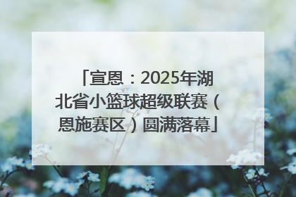 宣恩：2025年湖北省小篮球超级联赛（恩施赛区）圆满落幕