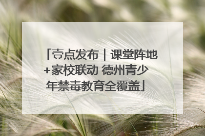 壹点发布｜课堂阵地+家校联动 德州青少年禁毒教育全覆盖