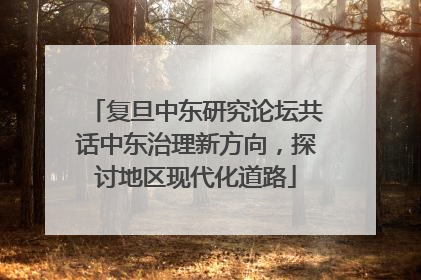 复旦中东研究论坛共话中东治理新方向，探讨地区现代化道路