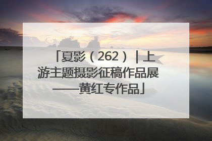 夏影（262）｜上游主题摄影征稿作品展——黄红专作品