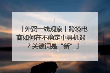 外贸一线观察丨跨境电商如何在不确定中寻机遇？关键词是“新”