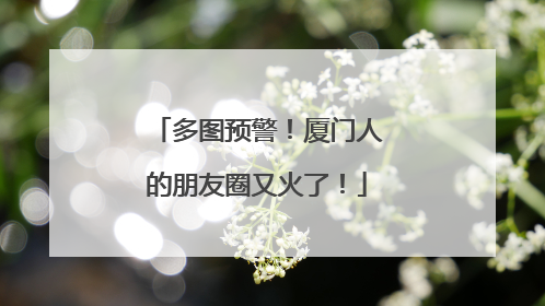 多图预警！厦门人的朋友圈又火了！
