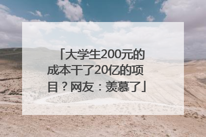 大学生200元的成本干了20亿的项目？网友：羡慕了