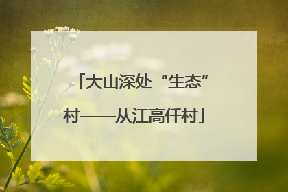 大山深处“生态”村——从江高仟村