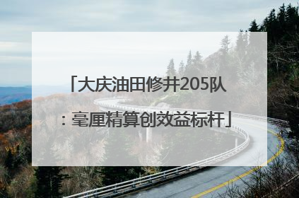 大庆油田修井205队：毫厘精算创效益标杆