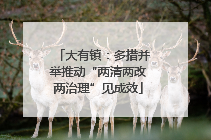 大有镇：多措并举推动“两清两改两治理”见成效