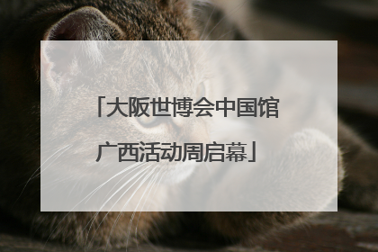 大阪世博会中国馆广西活动周启幕