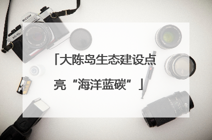大陈岛生态建设点亮“海洋蓝碳”