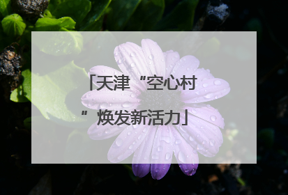 天津“空心村”焕发新活力