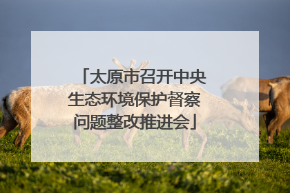 太原市召开中央生态环境保护督察问题整改推进会