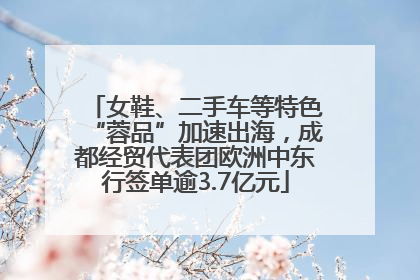 女鞋、二手车等特色“蓉品”加速出海，成都经贸代表团欧洲中东行签单逾3.7亿元