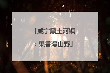 威宁黑土河镇：果香漫山野