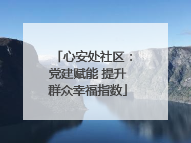 心安处社区：党建赋能 提升群众幸福指数