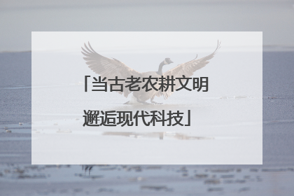 当古老农耕文明邂逅现代科技