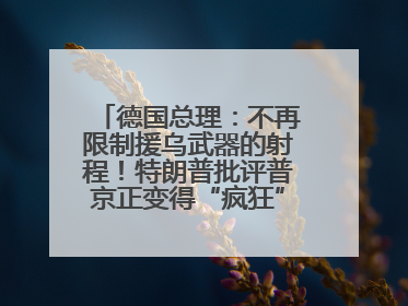 德国总理：不再限制援乌武器的射程！特朗普批评普京正变得“疯狂”，俄方最新回应