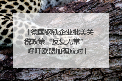 德国钢铁企业批美关税政策“反复无常” 呼吁欧盟加强应对