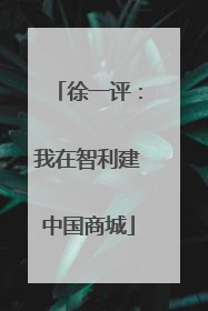 徐一评：我在智利建中国商城