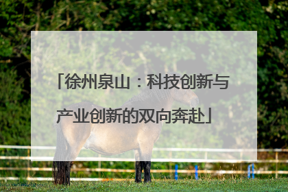 徐州泉山：科技创新与产业创新的双向奔赴