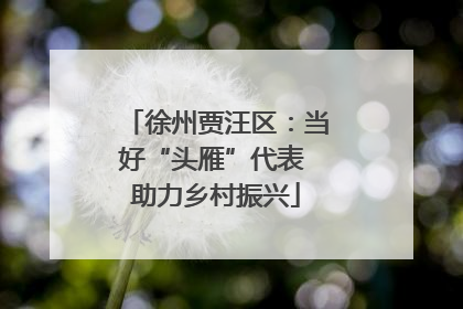 徐州贾汪区：当好“头雁”代表 助力乡村振兴