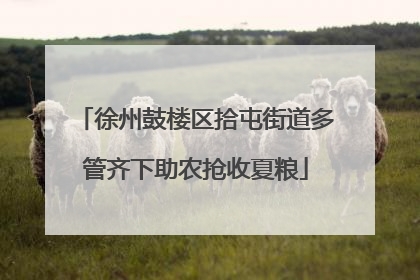 徐州鼓楼区拾屯街道多管齐下助农抢收夏粮