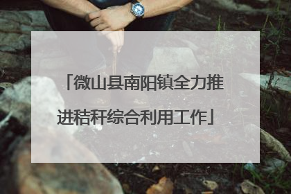 微山县南阳镇全力推进秸秆综合利用工作