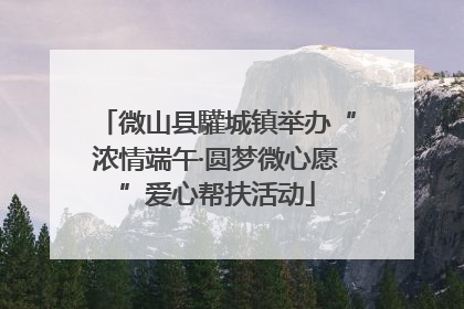 微山县驩城镇举办“浓情端午·圆梦微心愿”爱心帮扶活动