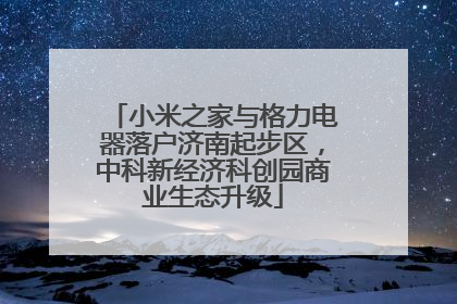 小米之家与格力电器落户济南起步区，中科新经济科创园商业生态升级