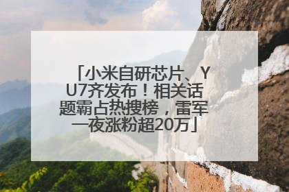 小米自研芯片、YU7齐发布！相关话题霸占热搜榜，雷军一夜涨粉超20万